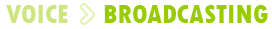 Voice broadcasting, Real time transfer Voice broadcast service, Voice messaging service